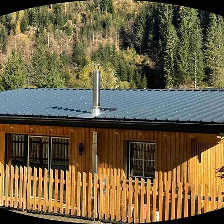 Landhaus Riesneralm Доннерсбахвальд Екстер'єр фото
