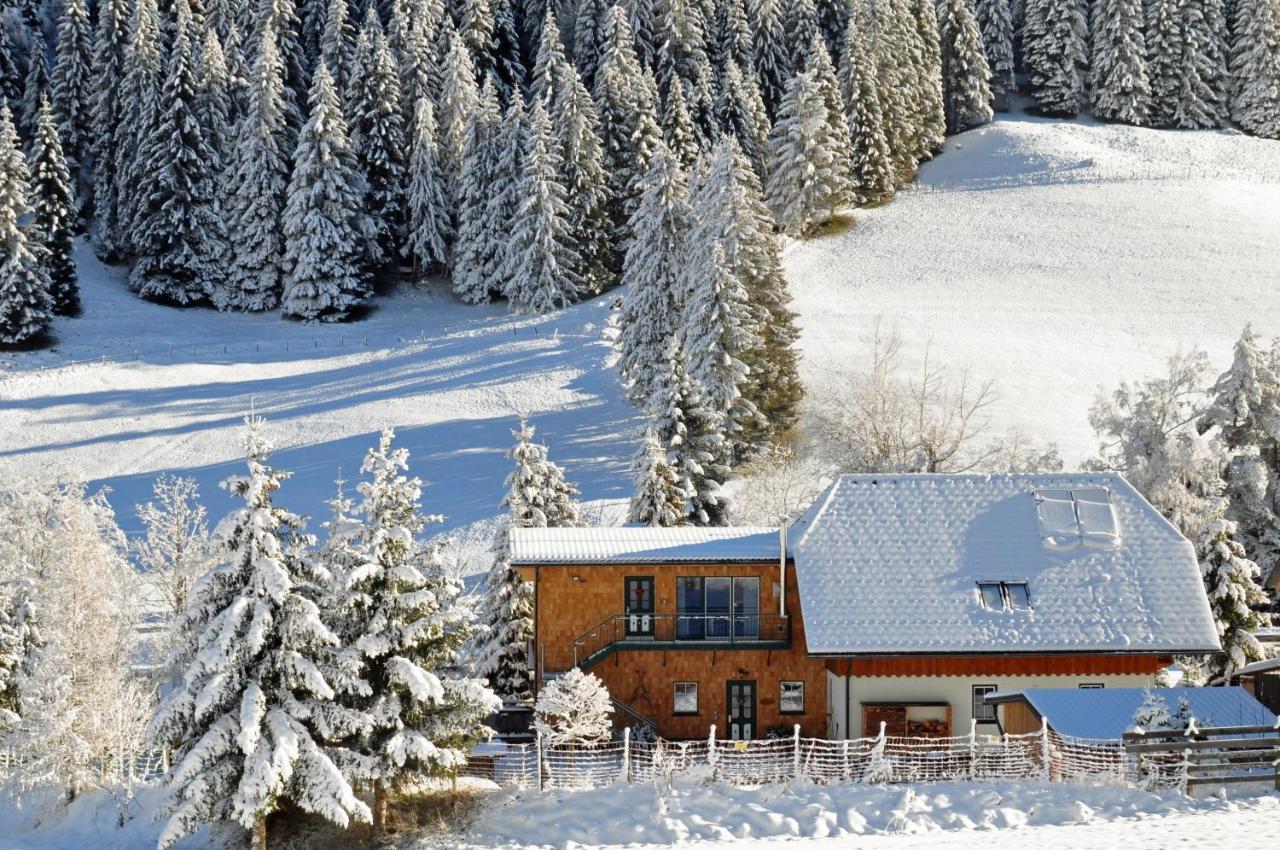 Landhaus Riesneralm Доннерсбахвальд Екстер'єр фото